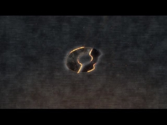 Machine automatique d'abattage de volailles halal pour une performance parfaite de découpage des poulets