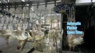 plumeuse automatique