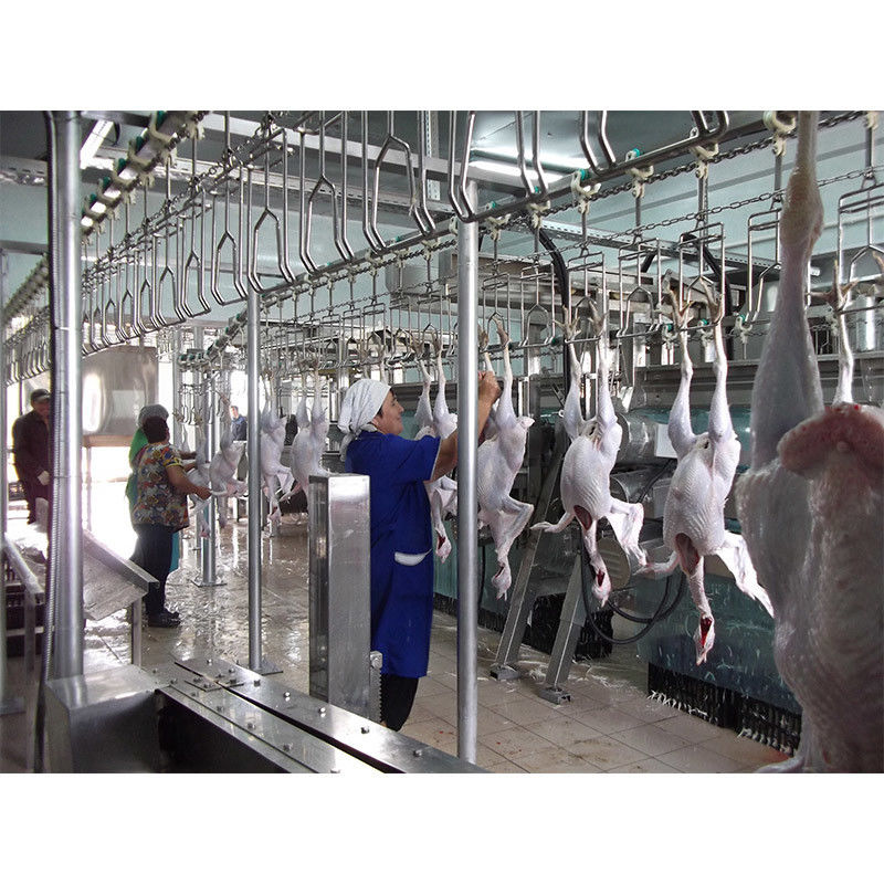 Qualité Equipement d'abattage de poulets en acier inoxydable 304 à tension 380V et à entretien facile Usine