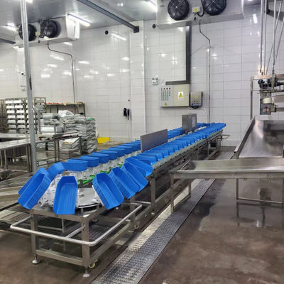Plateau en plastique poulet canard ceinture de volaille machine de tri du poids pour l'abattoir