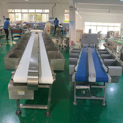 1000 - 6000BPH Machine de tri en poids pour la ligne d'abattage de poulets
