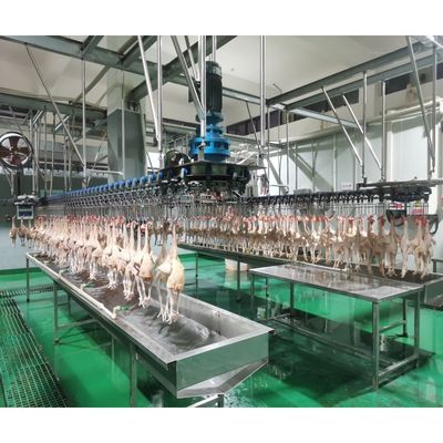 Machine de décoloration de volaille durable pour le poulet, le canard, l'oie et l'oie