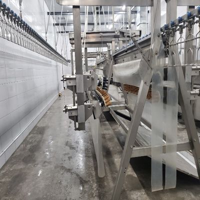 Machine automatique d'abattage de volaille 500-1000 BPH ligne d'abattage de poulet