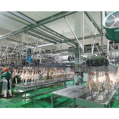 Fabrication d'installations de transformation de viande de volaille avec fonction de chauffage à 380 V