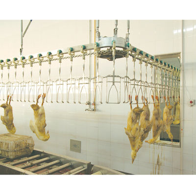 Équipement automatique d'abattage de volailles halal personnalisé pour le processus de découpage du poulet