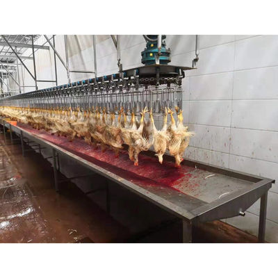 Ligne/équipement d'abattage de poulets halal destiné à une autre transformation et dont la performance est garantie