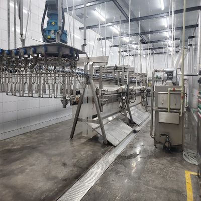 Machine d'abattage de volailles avec installation sur site ou en ligne et en acier inoxydable 304
