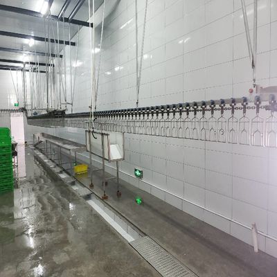 Solution de machine de ligne d'abattage de poulet en acier inoxydable pour la transformation de la volaille