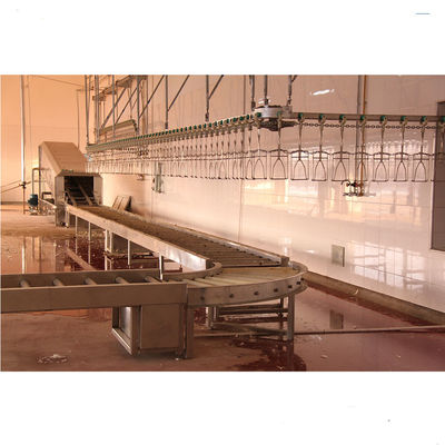 Machine à abattre semi-automatique pour usine de transformation de viande de volaille