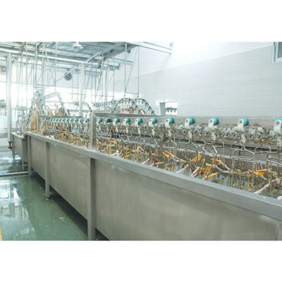 Machine à abattre le canard 380V / 220V équipement de transformation de volaille