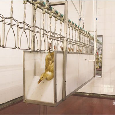 Machine automatique d'abattage de poulet de 100 kg pour une transformation rapide et précise de la volaille