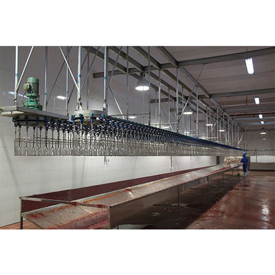Ligne de saignement de poulet de capacité personnalisée avec machine d'abattage en acier inoxydable