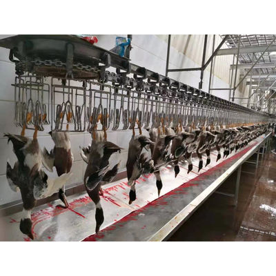 Qualité Ligne d'abattage de volaille de grande capacité, machine d'abattage de poulets halal 1000 BPH Usine