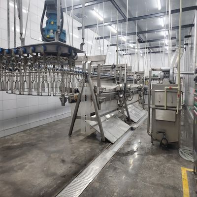 6 000 b/h Ligne de tuerie de volailles abattoir pour une meilleure productivité