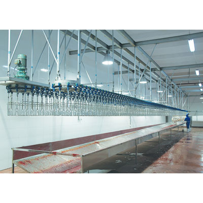 Équipement automatique d'abattage de poulets de 1000 b/h pour les abattoirs de volailles