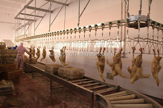 Acier inoxydable 220V de la machine 304 de Duck Goose Processing Line Slaughter de poulet