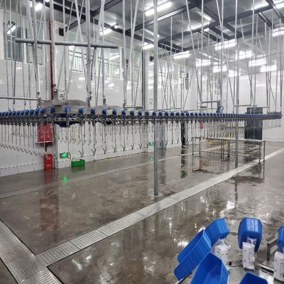 500PCS équipement automatique de l'abattoir de volaille ligne de élevage de poulet en acier inoxydable