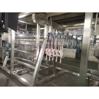200BPH 300BPH 500BPH Automatique de la mise à mort de la coupe de l'oie du canard du poulet abattoir de l'abattage de la ligne de traitement du système de machine