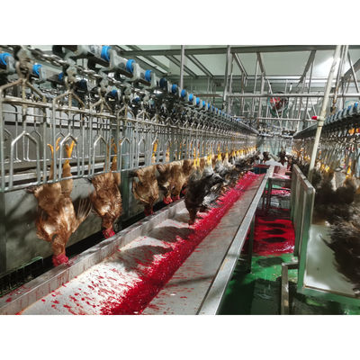 Chine Machine à abattre des poulets de volaille en acier inoxydable 304 d'une capacité de 0f 2000BPH