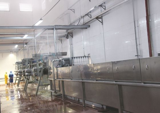Appareil électrique pour l'abattage de poulets pour les fermes