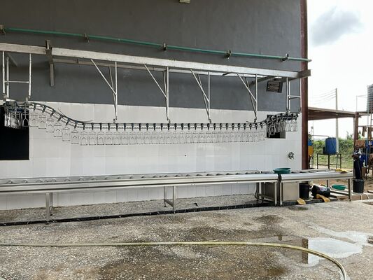 Chaîne de transformation de volaille clé en main à haut rendement certifiée Halal pour 1000 volailles par heure